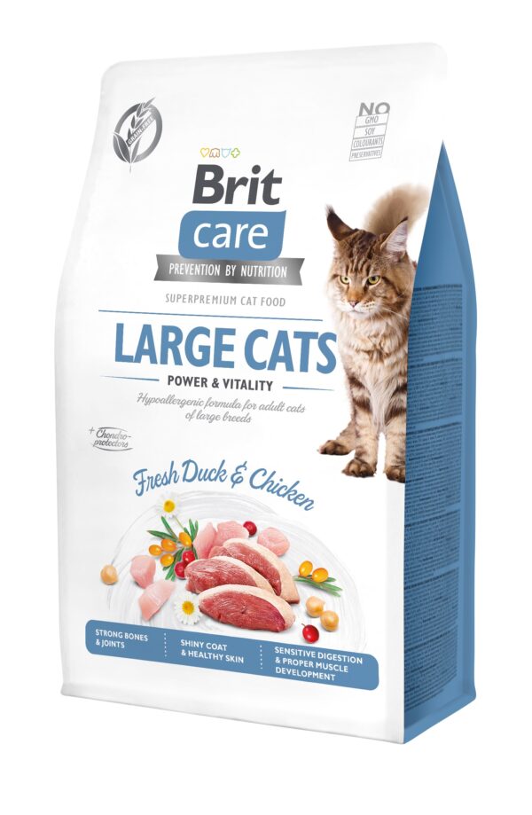 Brit Care Cat Grain-Free Large Cats Power Vitality kassitoit 0,4 kg