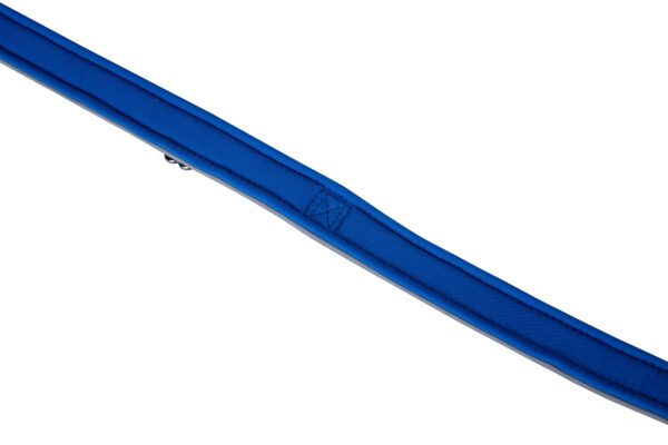 Freedog Extreme nailonist sinine kaelarihm koerale 20mm x 35-51cm - Image 2