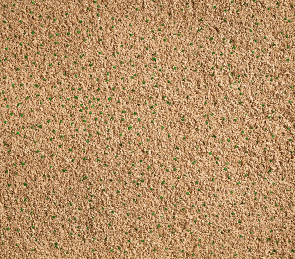 Cat's Best Sensitive paakuv kassiliiv 8L 2,9kg - Image 2
