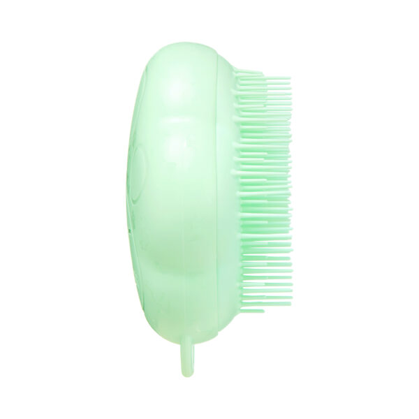 Pet Teezer roheline grooming hari kassile - Image 3
