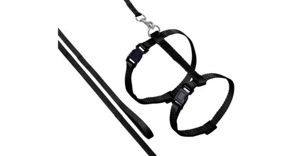 Flamingo mustad rihmaga traksid kassile 20-35cm - Image 2