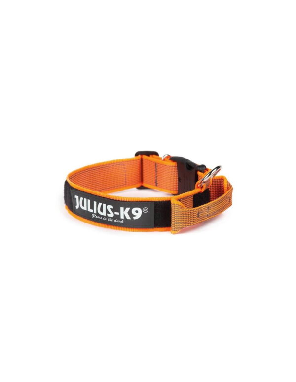 Julius-K9 oranž-hall käepidemega kaelarihm koerale 50mm