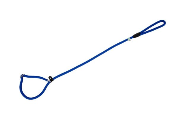 Freedog sinine kaelarihm-jalutusrihm koerale 13mm x 120cm