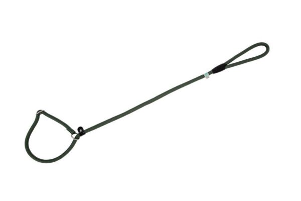 Freedog roheline kaelarihm-jalutusrihm koerale 13mm x 120cm