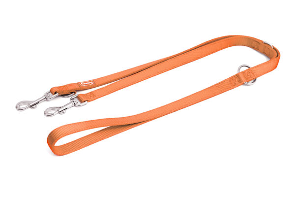 Freedog oranž nailonist treeningrihm koerale 2x200cm