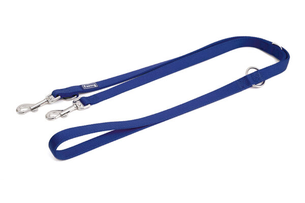 Freedog sinine nailonist treeningrihm koerale 2x200cm
