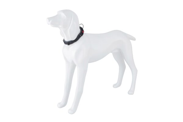 Freedog Extreme nailonist must kaelarihm koerale 20mm x 35-51cm - Image 2
