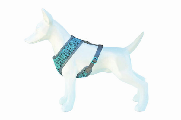 Freedog Pure taevasinised traksid koerale L 35/46-64cm - Image 2