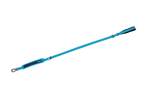 Freedog Boreal kaprisinine jalutusrihm koerale 20mm x 120-180cm