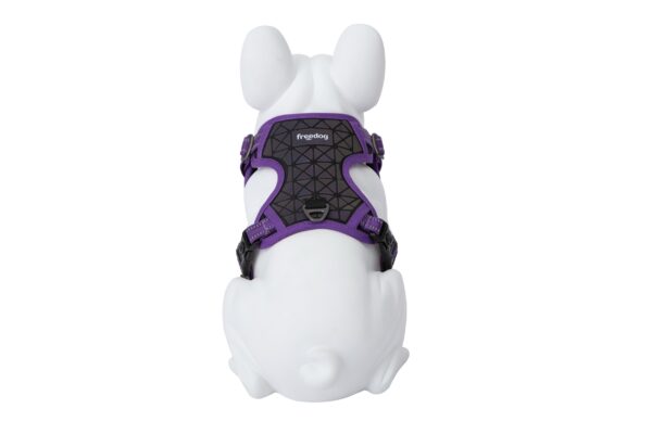 Freedog Boreal sirelilillad traksid koerale 15mm 34-63cm - Image 2