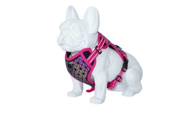 Freedog Boreal fuksiaroosad traksid koerale 20mm 38-75cm - Image 4