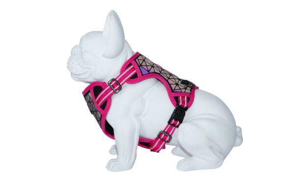 Freedog Boreal fuksiaroosad traksid koerale 20mm 38-75cm - Image 5
