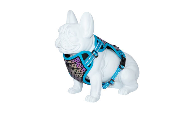 Freedog Boreal kaprisinised traksid koerale 20mm 38-75cm - Image 5