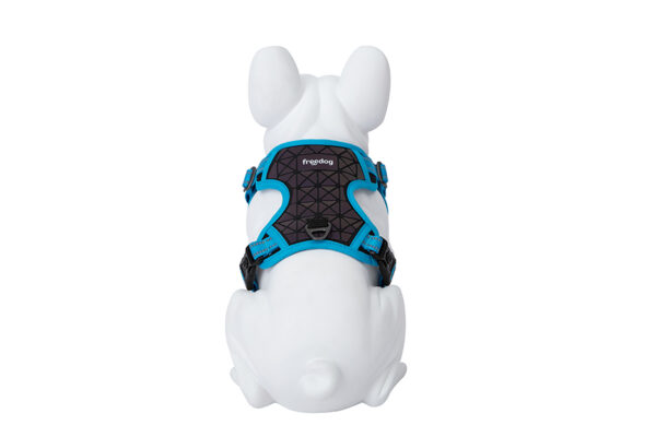 Freedog Boreal kaprisinised traksid koerale 20mm 38-75cm - Image 4