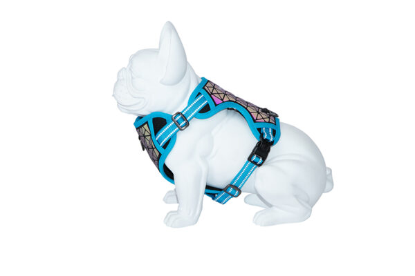 Freedog Boreal kaprisinised traksid koerale 20mm 38-75cm - Image 2