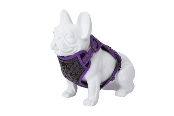 Freedog Boreal sirelilillad traksid koerale 20mm 38-75cm