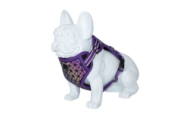 Freedog Boreal sirelilillad traksid koerale 20mm 38-75cm - Image 3