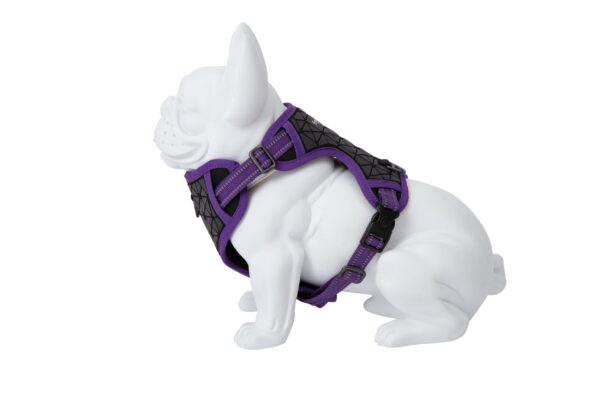 Freedog Boreal sirelilillad traksid koerale 20mm 38-75cm - Image 5