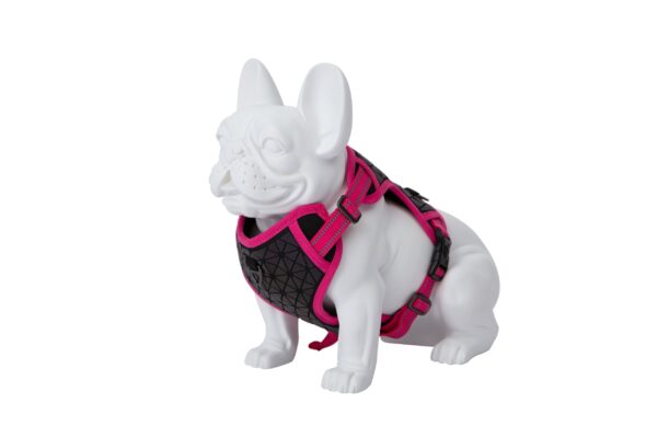 Freedog Boreal fuksiaroosad traksid koerale 25mm 45-90cm