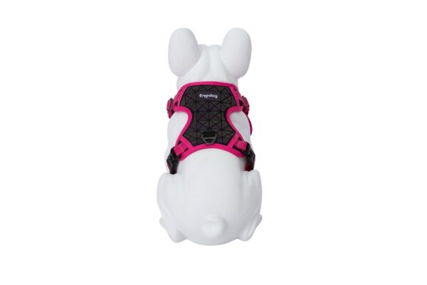 Freedog Boreal fuksiaroosad traksid koerale 25mm 45-90cm - Image 2