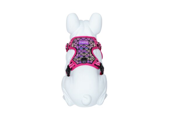Freedog Boreal fuksiaroosad traksid koerale 25mm 45-90cm - Image 3