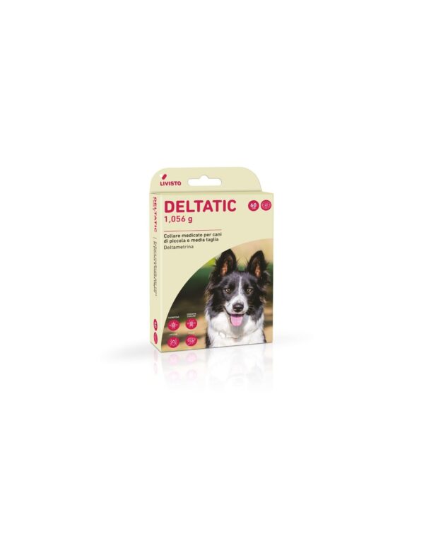Livisto Deltatic koeraparasiidi kaelarihm 60cm 2tk