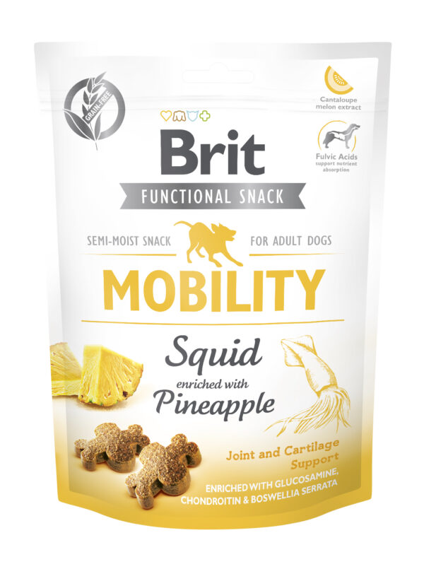 Brit Care Functional Mobility närimismaius koertele 150g