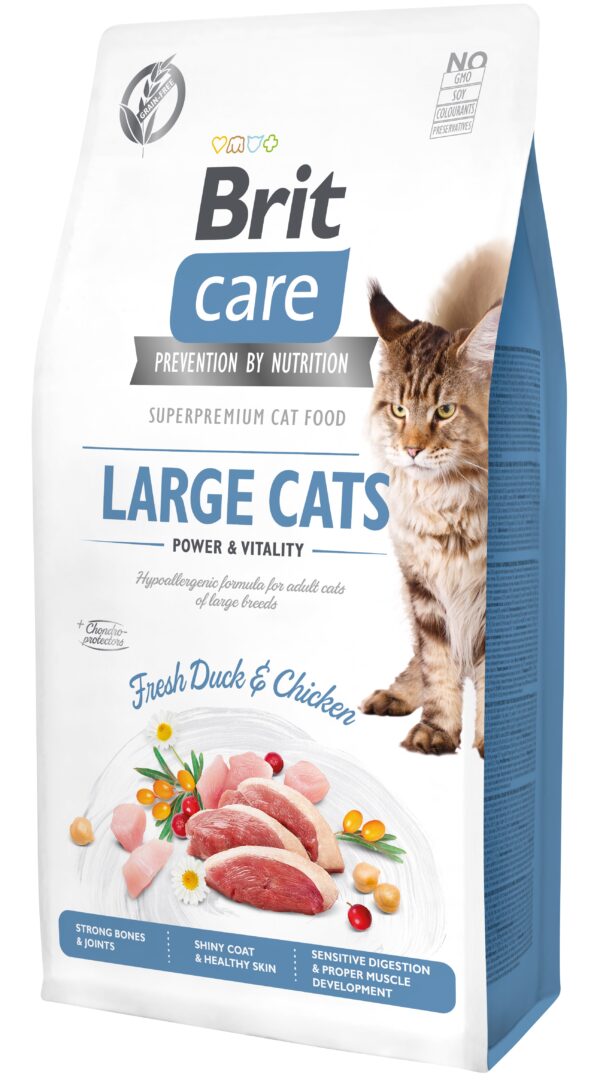 Brit Care Cat Grain-Free Large cats Power Vitality kassitoit 7 kg