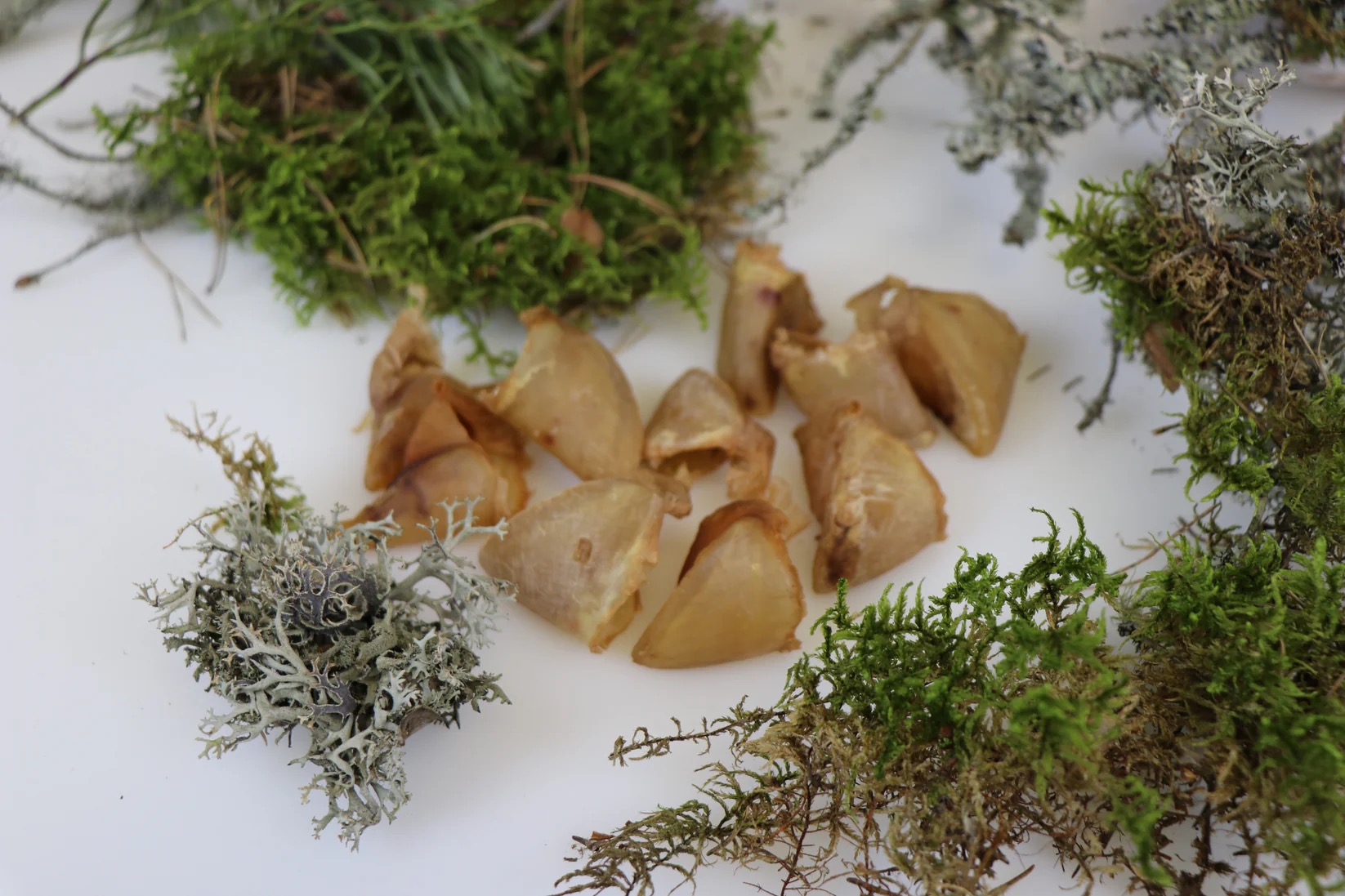 Tessa kuivatatud seasõrad koertele 60g