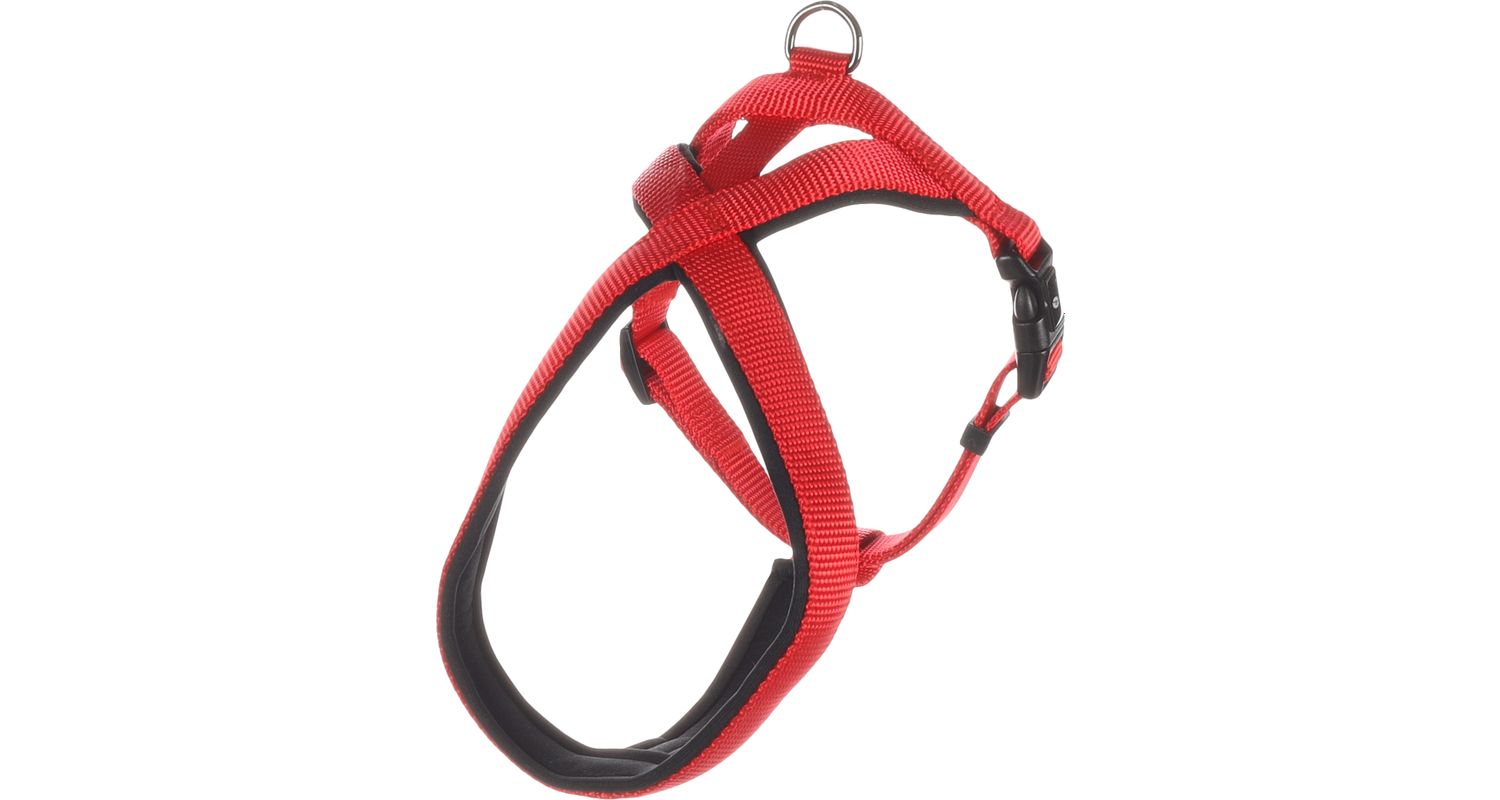 Flamingo Abbi punased traksid koerale XXS 42-50cm 15mm