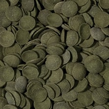 Tropical Green Algae Wafers kalatoit 45g / 100ml - Image 2