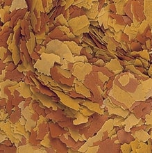 Tropical Vitality & Color Flakes kalatoit 20g / 100ml - Image 2