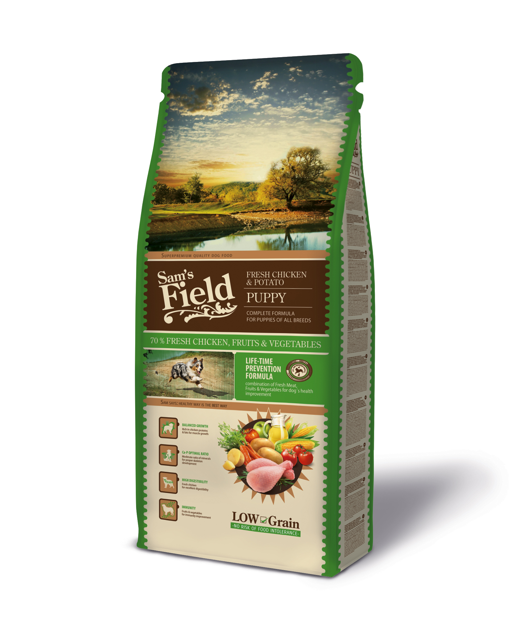 Sam's Field Puppy Chicken & Potato koeratoit 2,5 kg