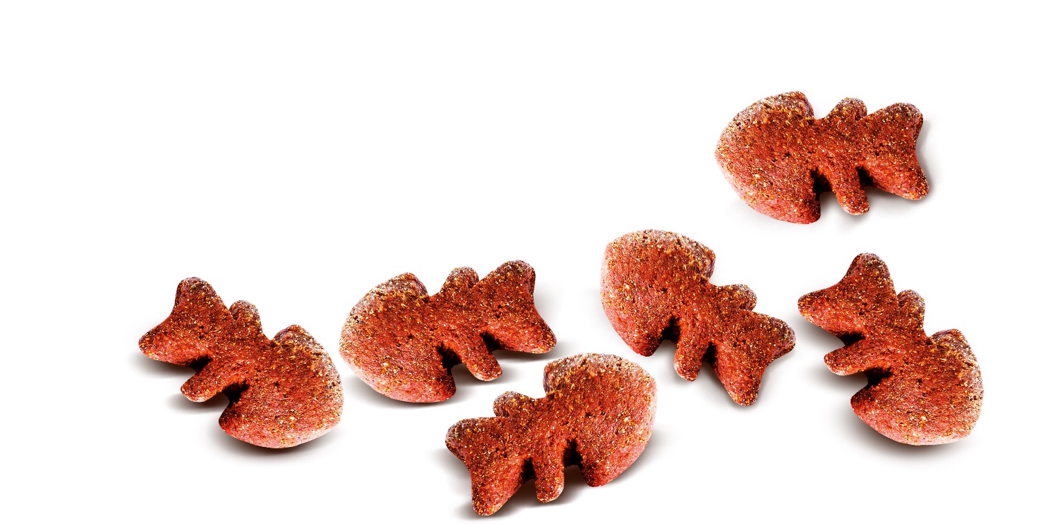 Carnilove Mackerel with Raspberries värske lihaga koeramaius 200g - Image 2