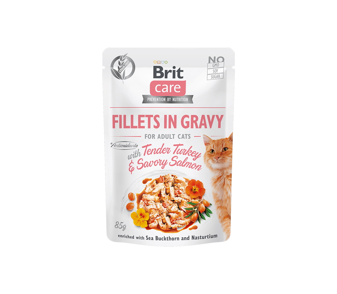 Brit Care Fillets in Gravy Tender Turkey & Savory Salmon märgtoit kassidele 85g