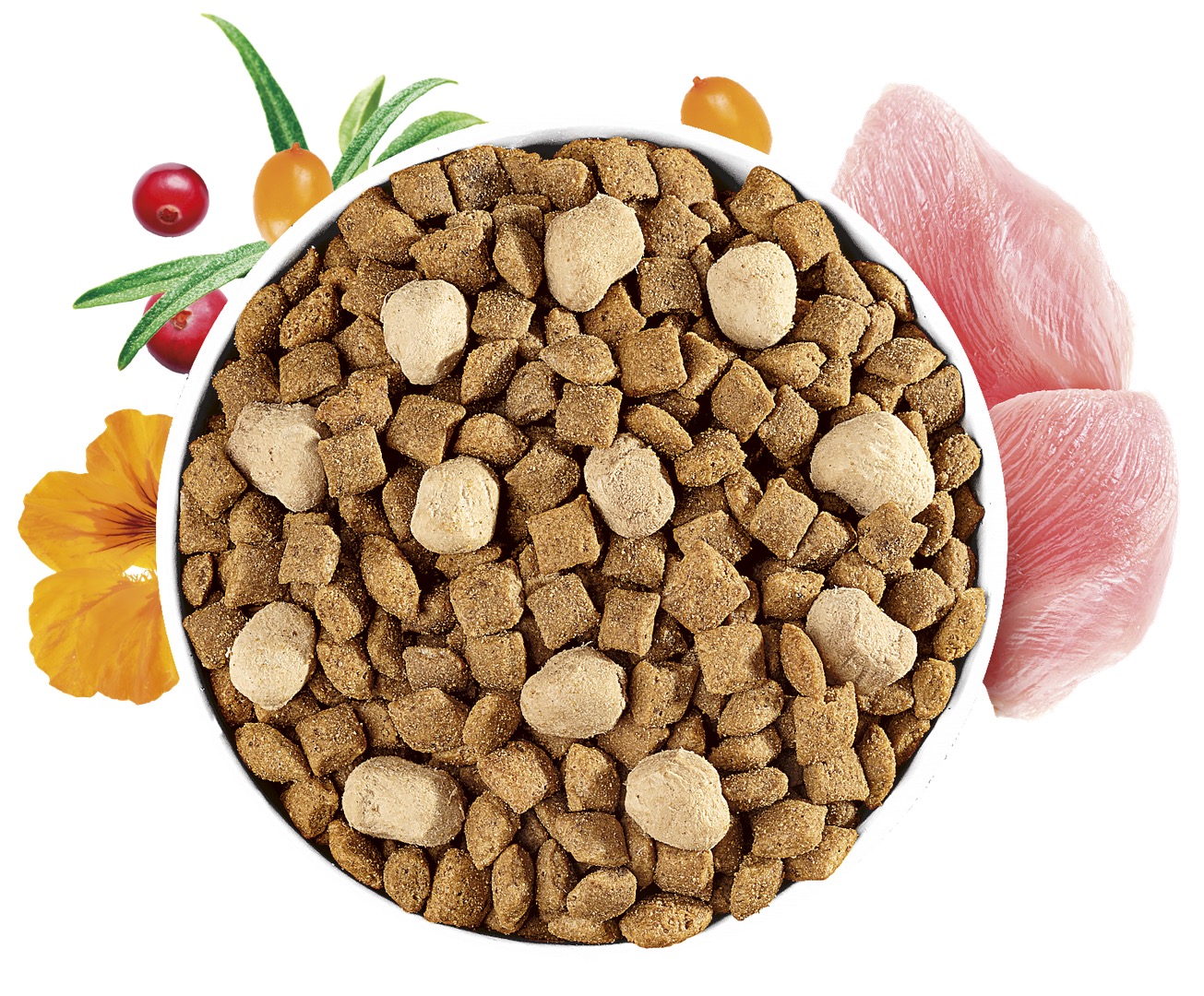 Brit Care Grain-Free Sterilized with Raw Delights kassitoit 2 kg - Image 2