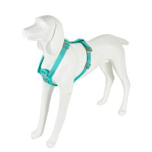 Freedog Saferide türkiissinised turvatraksid koerale S 20mm x 32/50cm