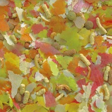 Tropical Pond Mix kalatoit 160g / 1000ml - Image 2