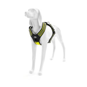 Record kollased traksid koerale 70-95cm L