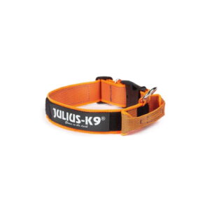Julius-K9 oranž-hall käepidemega kaelarihm koerale 50mm