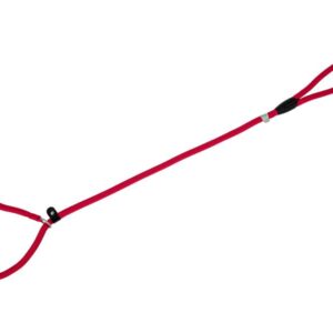 Freedog punane kaelarihm-jalutusrihm koerale 13mm x 120cm
