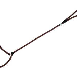 Freedog pruun kaelarihm-jalutusrihm koerale 13mm x 120cm