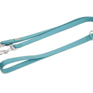 Freedog türkiissinine nailonist treeningrihm koerale 2x200cm