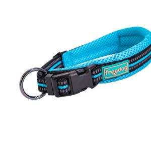 Freedog Soft-Sport türkiissinine nailonist kaelarihm 25mm x 38/66cm