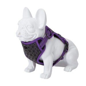 Freedog Boreal sirelilillad traksid koerale 15mm 34-63cm