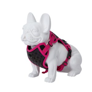 Freedog Boreal fuksiaroosad traksid koerale 20mm 38-75cm