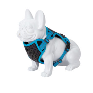 Freedog Boreal kaprisinised traksid koerale 20mm 38-75cm