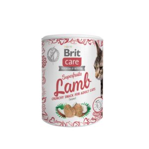Brit Care SuperFruits Lamb kassimaius lambalihaga 100g