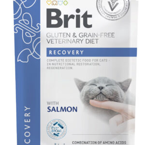 Brit Veterinary Diet Recovery märgtoit kassidele 85g