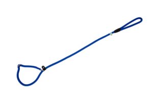 Freedog sinine kaelarihm-jalutusrihm koerale 8mm x 120cm
